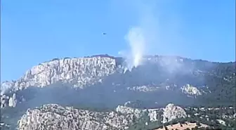 Sinop'ta Orman Yangını Kontrol Altına Alındı