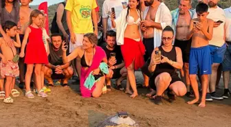 Muğla'da 7 Deniz Kaplumbağası Denize Bırakıldı
