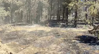 Sinop’ta Yangın Tehlikesi Geçti, Tahliye Edilenler Köylerine Dönüyor