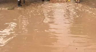 Van'da Sel Felaketi: İki Mahallede Evler Su Altında Kaldı