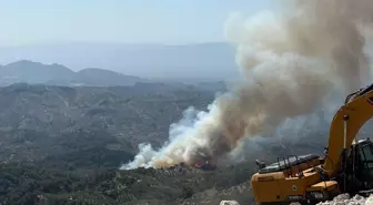 Aydın'da Orman Yangını: Ekipler Havadan ve Karadan Müdahale Ediyor