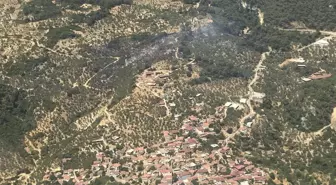 Aydın'da Orman Yangını 2,5 Saate Kontrol Altına Alındı