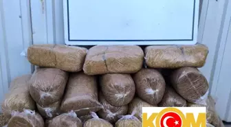 Bandırma'da Kaçak Tütün Operasyonu: 170 Kilogram Ele Geçirildi