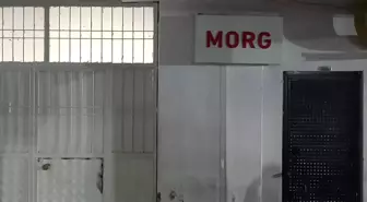 Ailecek gittikleri piknik felaketle sonuçlandı