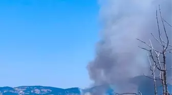 Bolu'da Orman Yangını: Ekipler Müdahaleye Devam Ediyor
