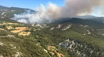 Bolu'da Orman Yangınına Havadan ve Karadan Müdahale