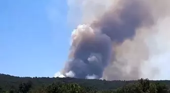 Bolu'da Orman Yangını: Ekipler Müdahale Ediyor