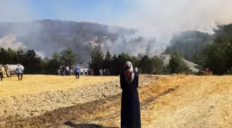 Bolu'daki Yangına Havanın ve Karadan Müdahale Devam Ediyor