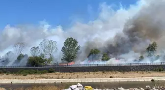 Çanakkale'de Çöplük Yangını Ormana Sıçradı