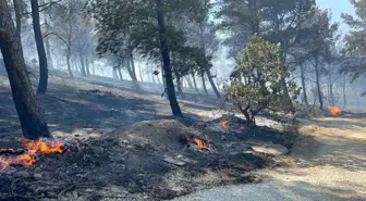 Çanakkale'de Yangın: Villalar Alevlere Teslim Oldu