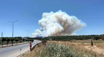 Çanakkale'de Orman Yangınına Hızlı Müdahale
