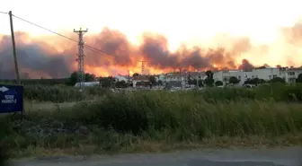 Edirne'de Tarladan Ormana Doğru İlerleyen Yangın