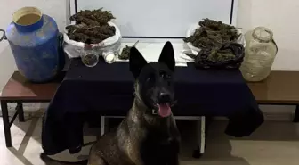 Gönen'de Uyuşturucu Operasyonu: Esrar ve Metamfetamin Ele Geçirildi