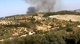 Hatay Yayladağı'nda Orman Yangını!