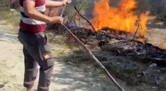 Yayladağı'nda Kopan Elektrik Teli Yangına Neden Oldu