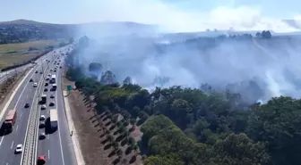 İstanbul'da Çiftlikte ve Ağaçlık Alanda Yangın Çıktı