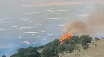 Manisa'da Tarlada Başlayan Yangın Makiliğe Sıçradı