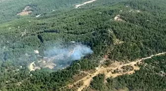 Muğla'nın Milas ilçesinde orman yangını kontrol altına alındı