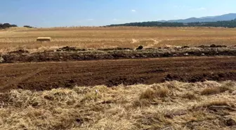 Bilecik'te Tarımsal Üretimi Artıracak Büyük Proje Başlatıldı
