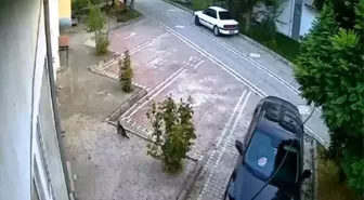 Depremin Korkusu Kediyi Kaçırdı