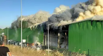 Gönen'deki Fabrika Yangınında 8 Gözaltı, 1 Kişi Tutuklandı