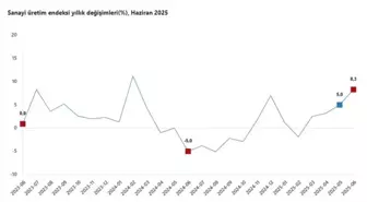 Sanayi Üretimi Haziran'da Yıllık %8,3 Arttı