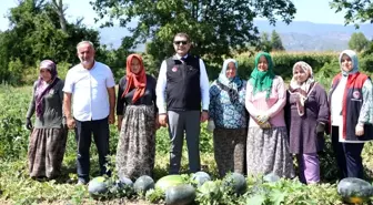 Düzce Valisi Aslan, Tarım Uygulama Tarlasını Ziyaret Etti