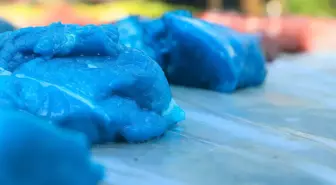 Avcı yalanı değil gerçek! Yakaladığı hayvanın eti mavi çıktı