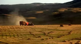 Bayburt'ta Çiftçinin 194 Balya Otu Çalındı