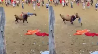 Boğa güreşi festivalinde matador aldığı boynuz darbesi ile feci şekilde can verdi