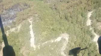Bolu Mudurnu'da Orman Yangını 22 Saat Sonra Kontrol Altına Alındı