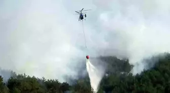 Bolu'da Biçerdöver Kıvılcımları Orman Yangınına Neden Oldu