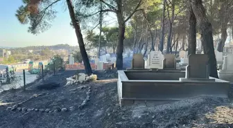 Çanakkale'de Yangın: Turgut Reis Tabyası ve Güzelyalı Mezarlığı Zarar Gördü