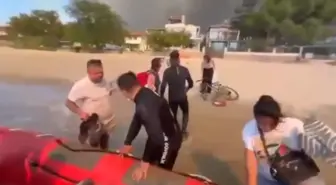 Çanakkale'deki Orman Yangınlarında 348 Kişi Kurtarıldı