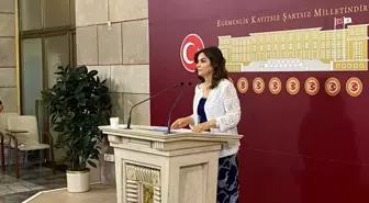 DEM Parti'den Barış Sürecine Destek Çağrısı