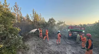 Edirne Enez'de Orman Yangını Kontrol Altına Alındı