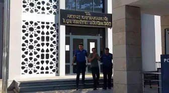 Akyazı'da Uyuşturucu Operasyonu: 60 Kök Kenevir Ele Geçirildi