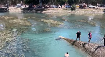 Mersin'de Baraj Gölünde Boğulma Olayı: 8 Yaşındaki Çocuk Hayatını Kaybetti