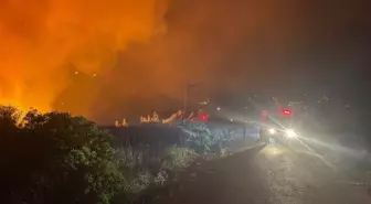 Yayladağı'nda Orman Yangını Sürüyor