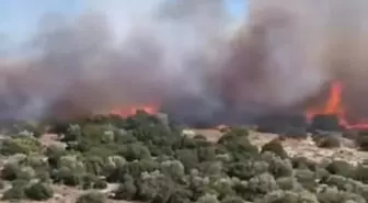 İzmir Aliağa'da Yangın Söndürme Çalışmaları Başlatıldı