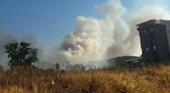 İzmir Buca'da Minibüste Yangın, Alevler Ormana Sıçradı