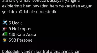 İzmir Valisi Elban'dan Orman Yangını Açıklaması
