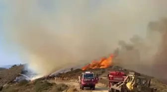 İzmir Karaburun'da Orman Yangını