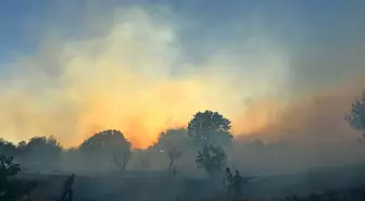 Dikili'de Ot Yangını: Bazı Evler Zarar Gördü