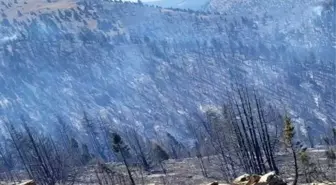 Kahramanmaraş'ın Göksun ilçesinde yangın söndürme çalışmaları sürüyor