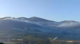 Soma'da Orman Yangını Sürüyor: Havadan ve Karadan Müdahale