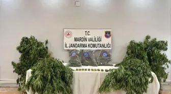 Mardin Derik'te Uyuşturucu Operasyonu: 1 Tutuklama