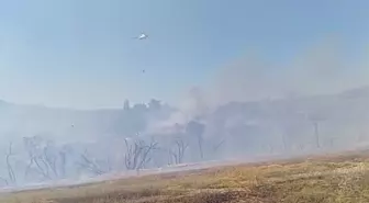 Osmaniye'de Anız Yangını: Ekipler Müdahale Ediyor