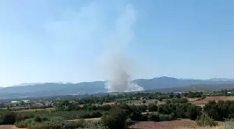 Osmaniye'de Orman Yangını: Ekipler Seferber Oldu