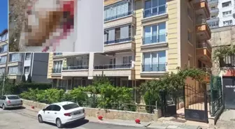 Polis memuru sokak köpeğini vurarak öldürdü